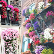 🌺UV Resistant Hanging Artificial Morning Glory Vine 💖
