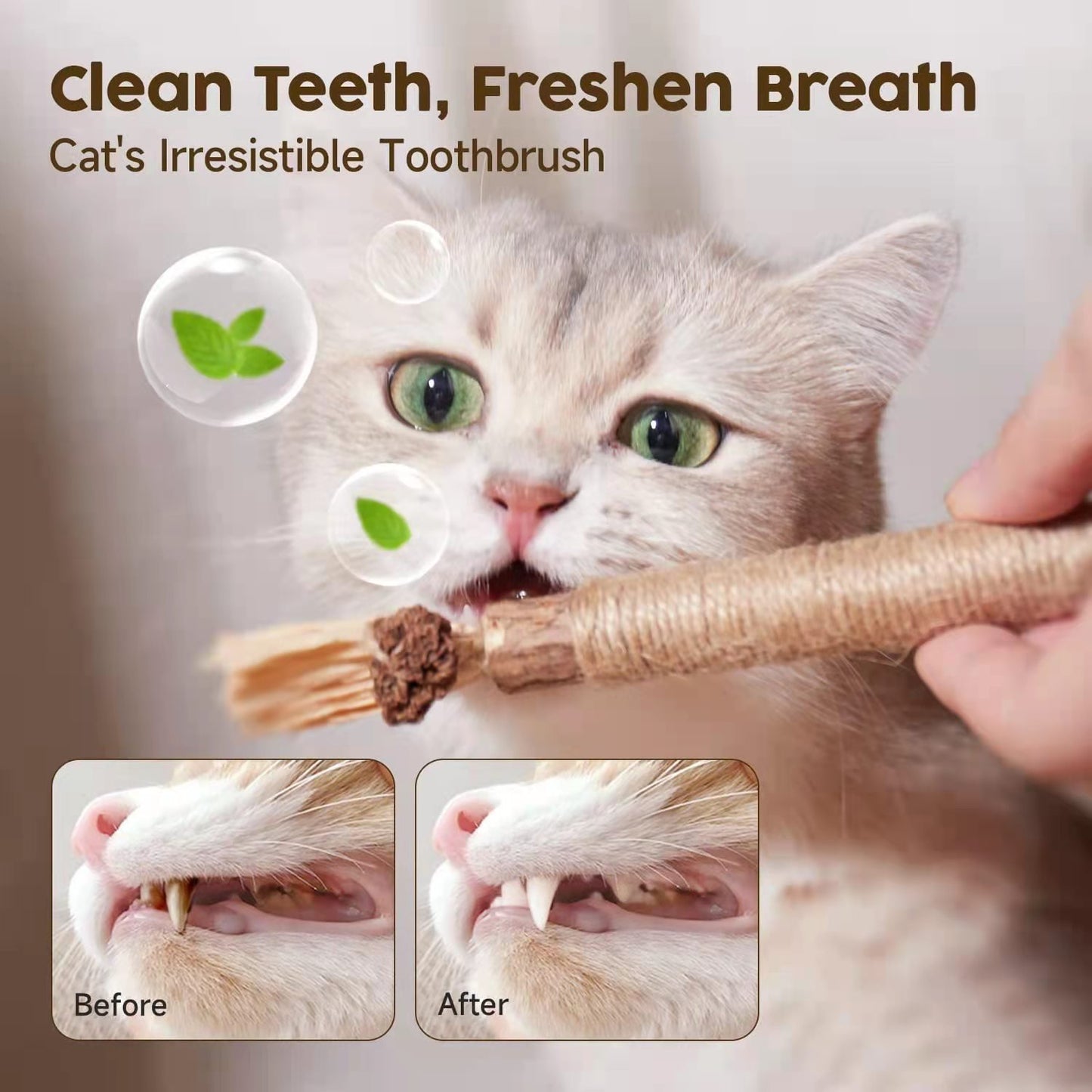(🔥BIG SALE)Natural Silvervine Stick Cat Chew Toy--buy 5 get 5 free & free shipping（10pcs）