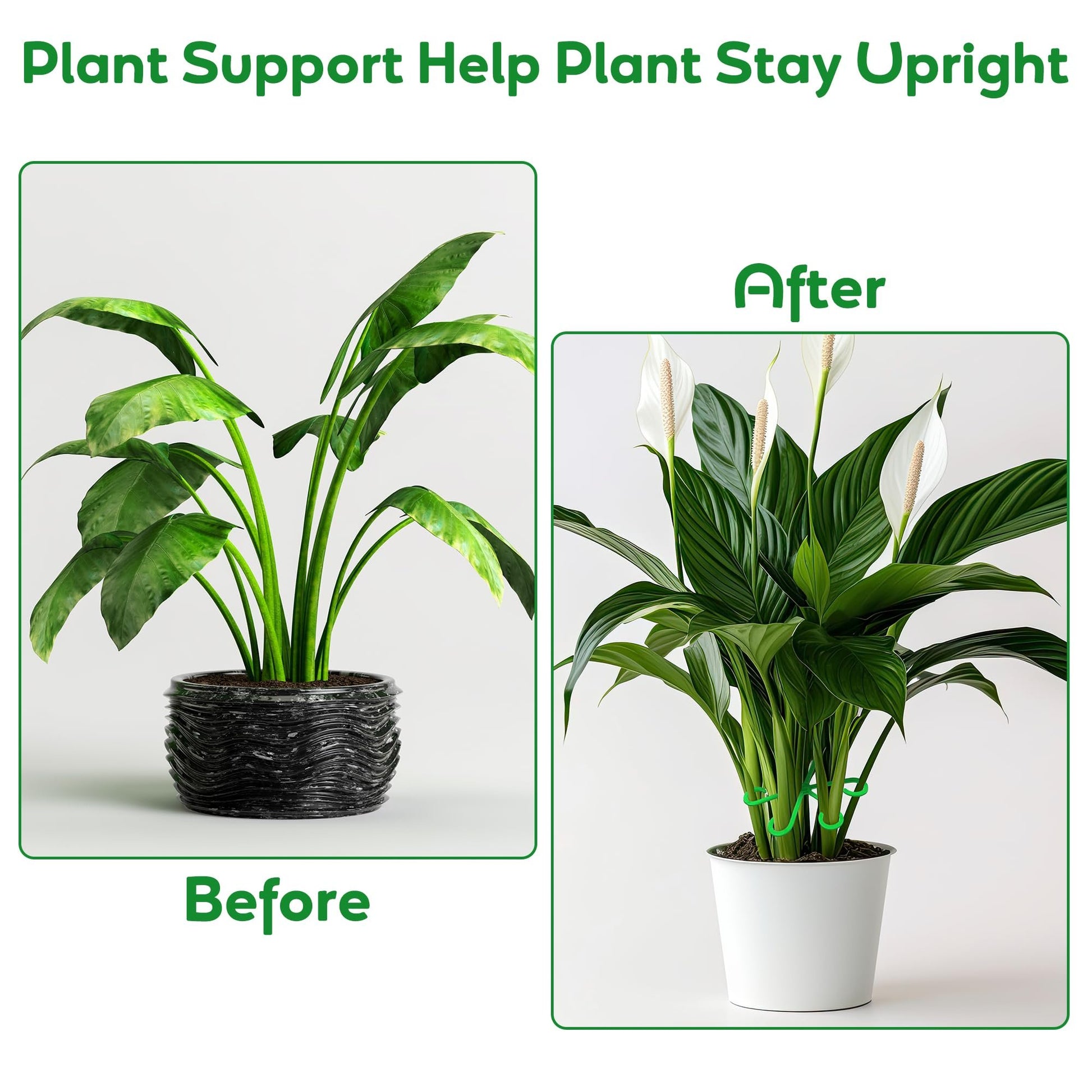 🏆Flash Sale⚡ 50K+ SOLD! Almost Gone-🌿Plant Stem Support Set