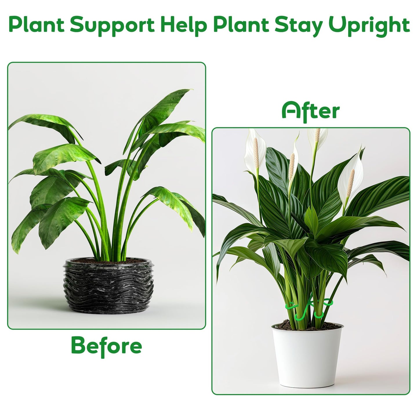 🏆Flash Sale⚡ 50K+ SOLD! Almost Gone-🌿Plant Stem Support Set