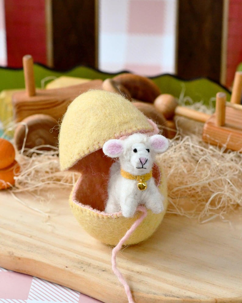 🐣2026 New Easter Arrivals - Surprise Easter Egg from Wool Felt