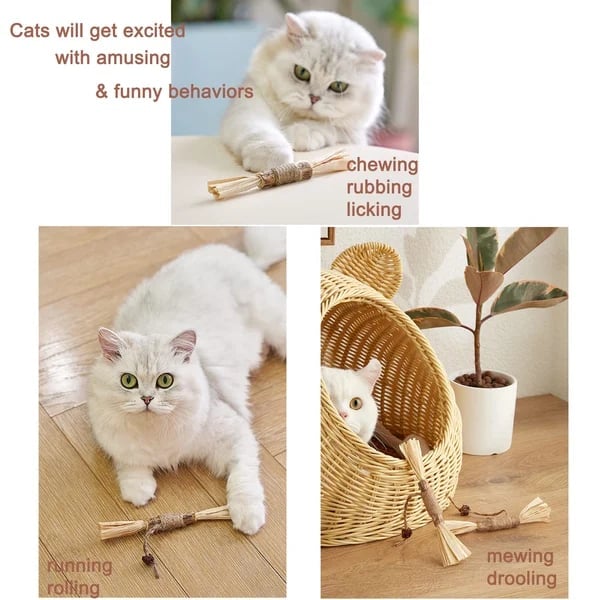 (🔥BIG SALE)Natural Silvervine Stick Cat Chew Toy--buy 5 get 5 free & free shipping（10pcs）