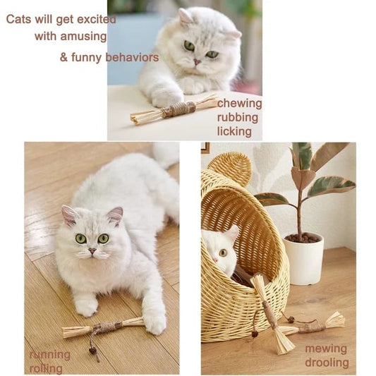 (🔥BIG SALE)Natural Silvervine Stick Cat Chew Toy--buy 5 get 5 free & free shipping（10pcs）