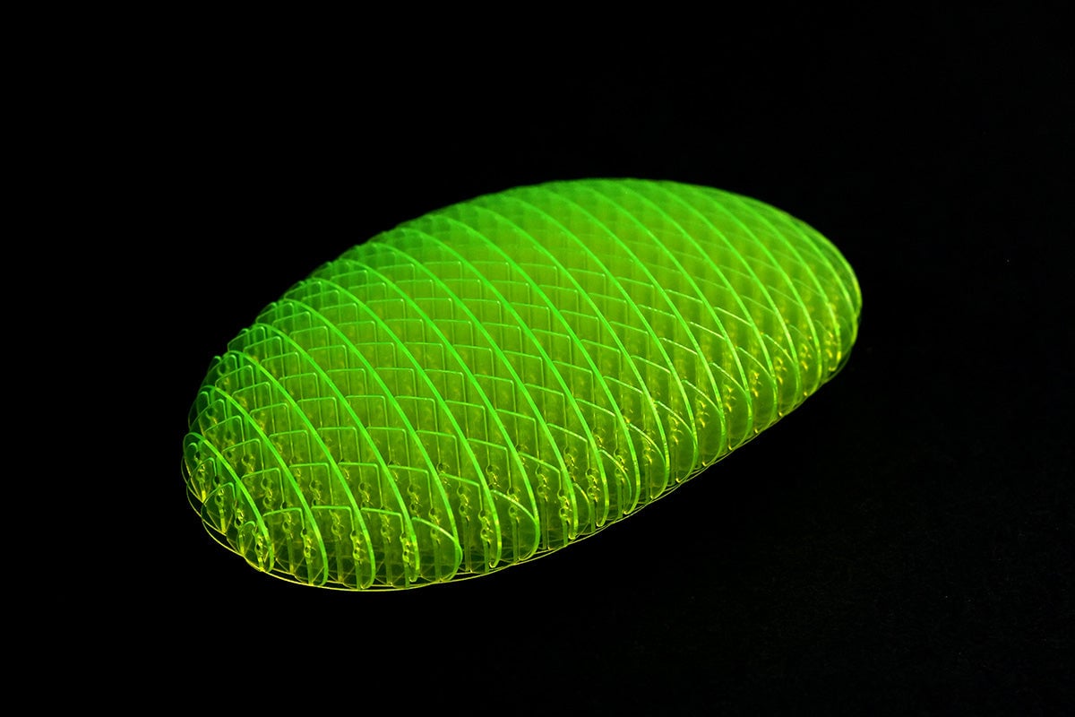🔥Worm Big Fidget Toy