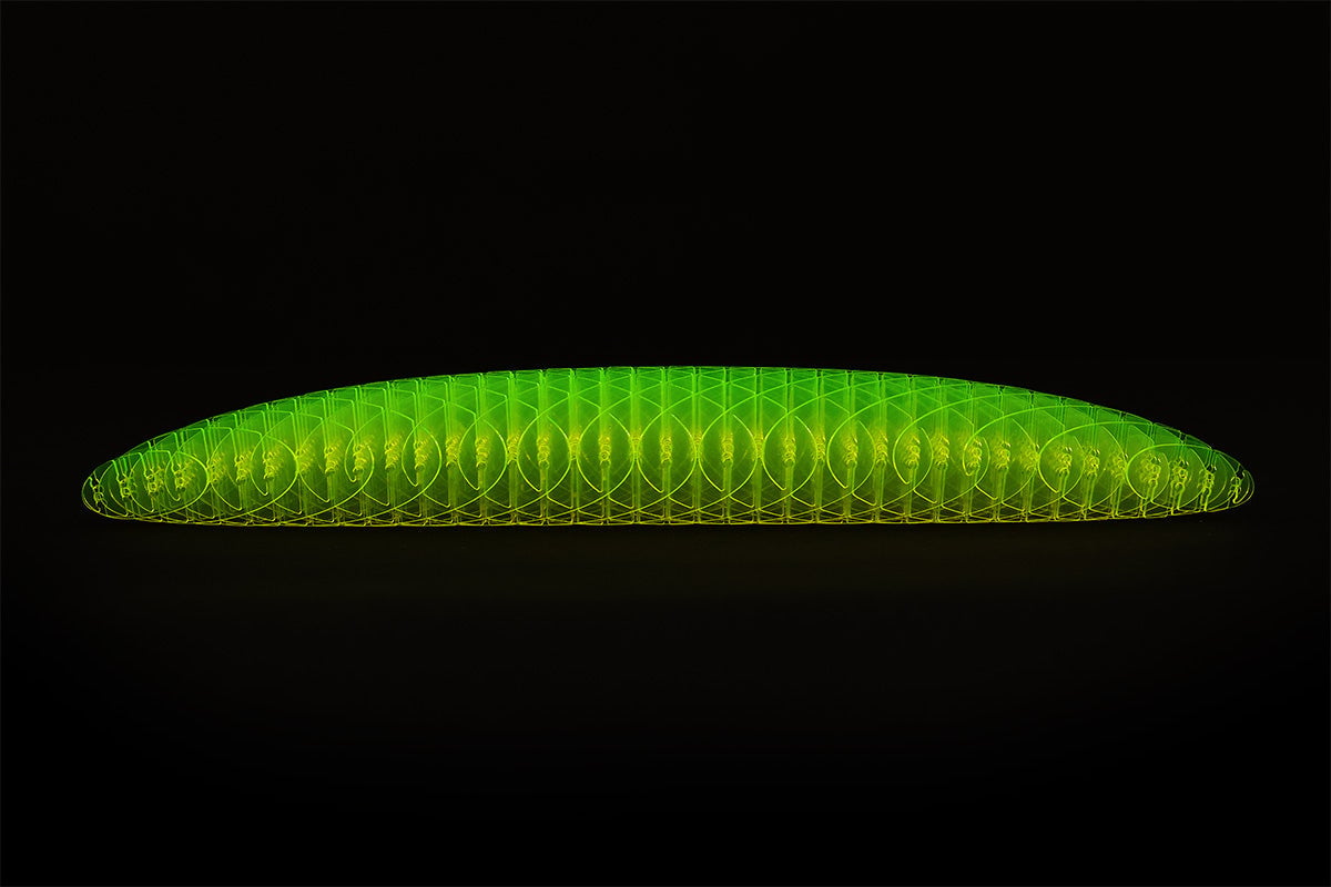 🔥Worm Big Fidget Toy