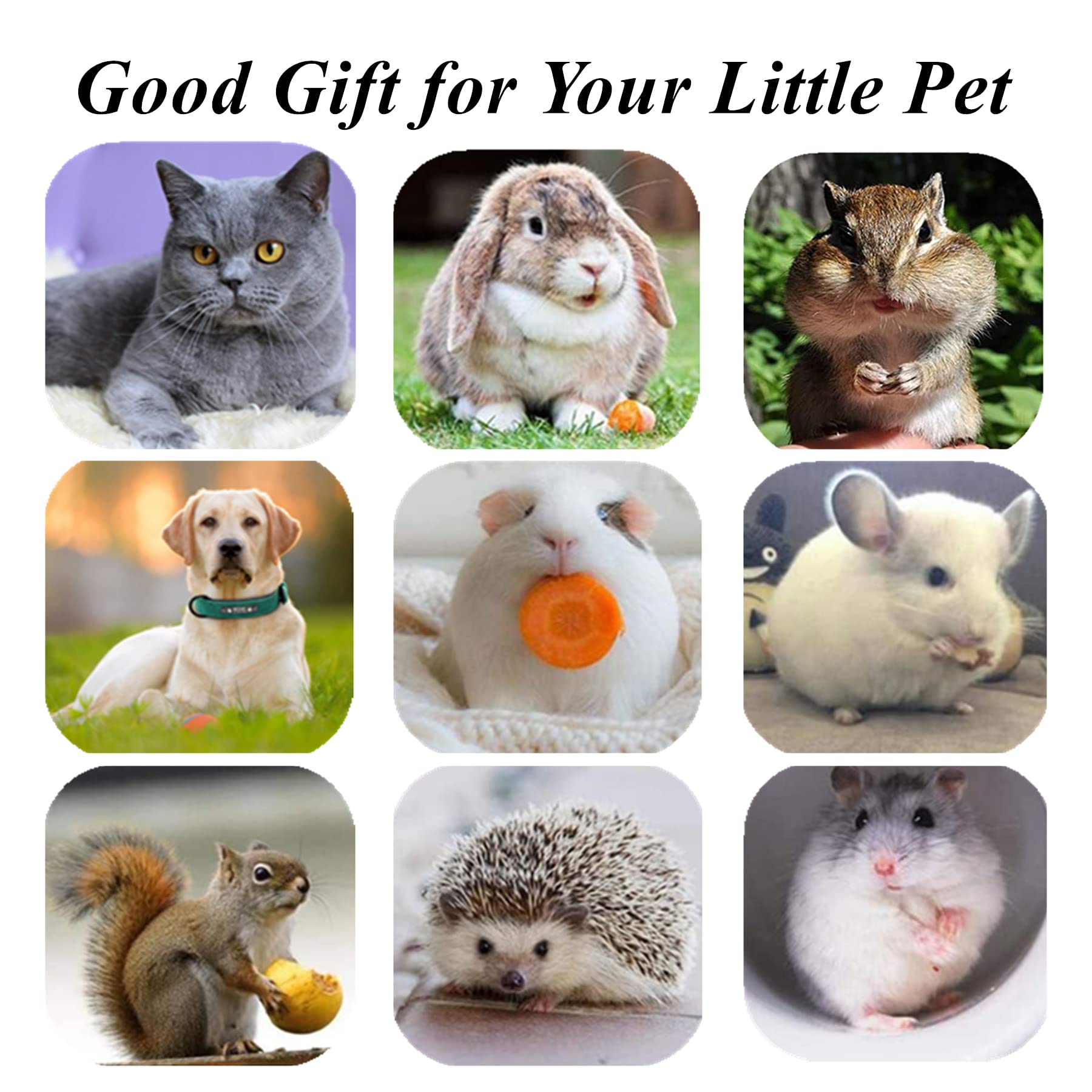 (🔥BIG SALE)Natural Silvervine Stick Cat Chew Toy--buy 5 get 5 free & free shipping（10pcs）