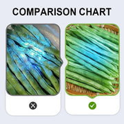✨Buy 2 Get 1 Free🛡️UV Black Light Flashlight for Vegetable Inspection
