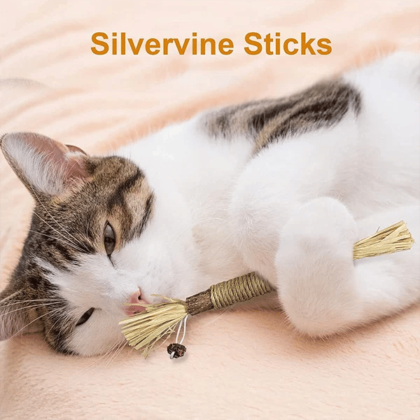 (🔥BIG SALE)Natural Silvervine Stick Cat Chew Toy--buy 5 get 5 free & free shipping（10pcs）