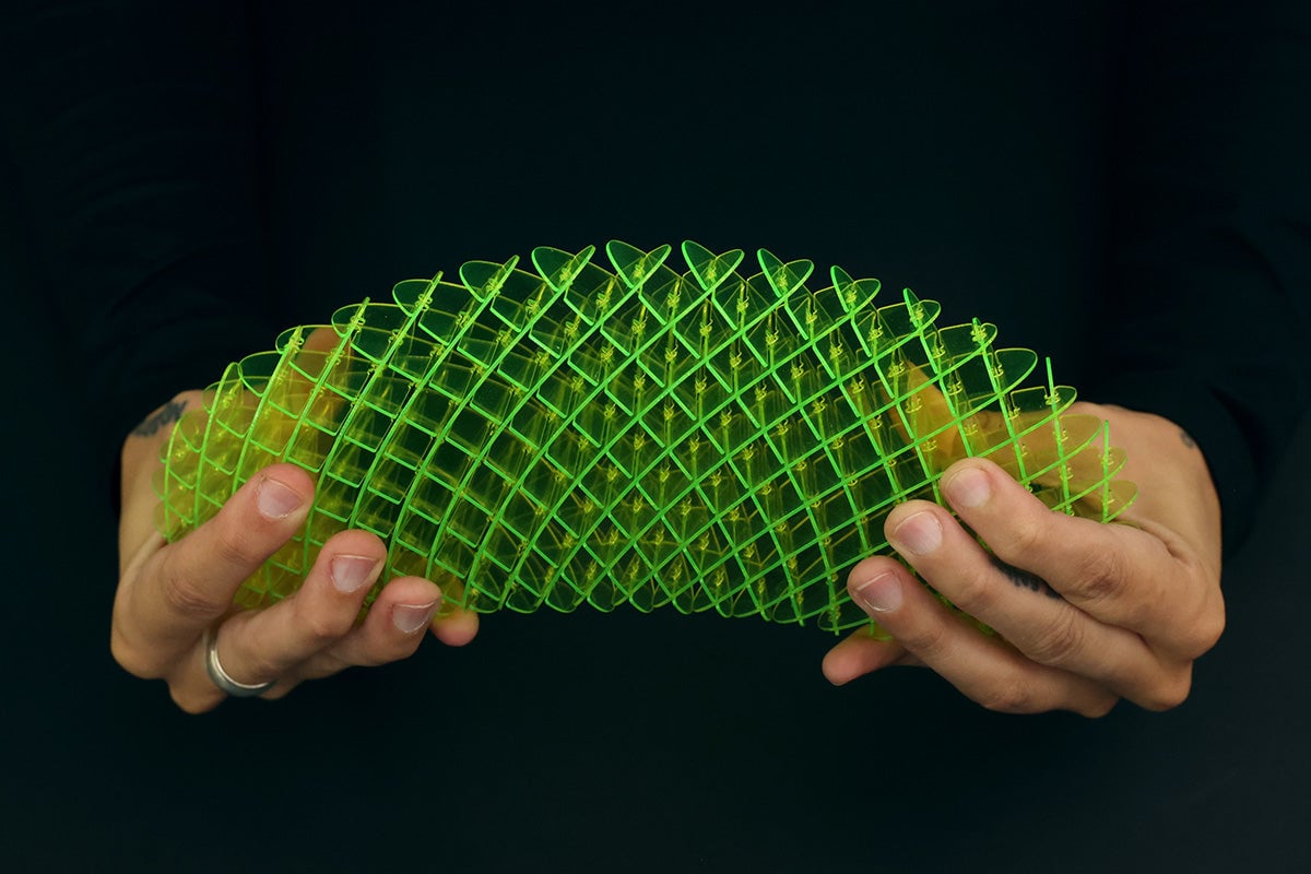 🔥Worm Big Fidget Toy