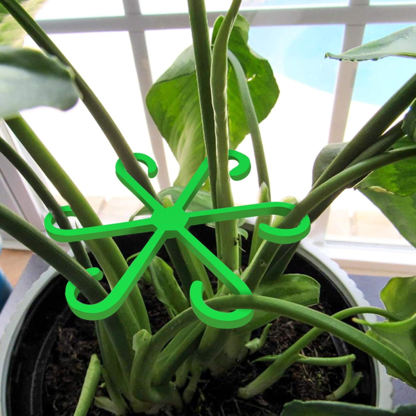 🏆Flash Sale⚡ 50K+ SOLD! Almost Gone-🌿Plant Stem Support Set