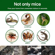 🔥HOT SALE🔥Household Mon-woven Strong Trap Sticky Mouse Blanket