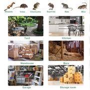 Stainless Steel Automatic Mousetrap