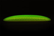 🔥Worm Big Fidget Toy